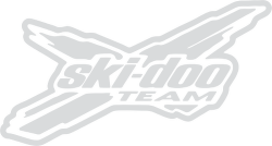 250x134 Ski Doo Logo Vector