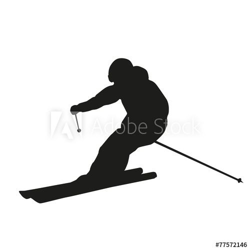500x500 Skier Silhouette