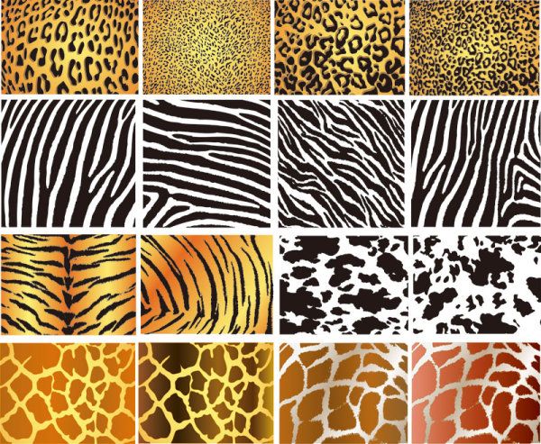 Animal Skin Patterns Illustration Of Animal Skin Textures 600x493 Animal Skin Patterns Illustration Of Animal Skin Textures