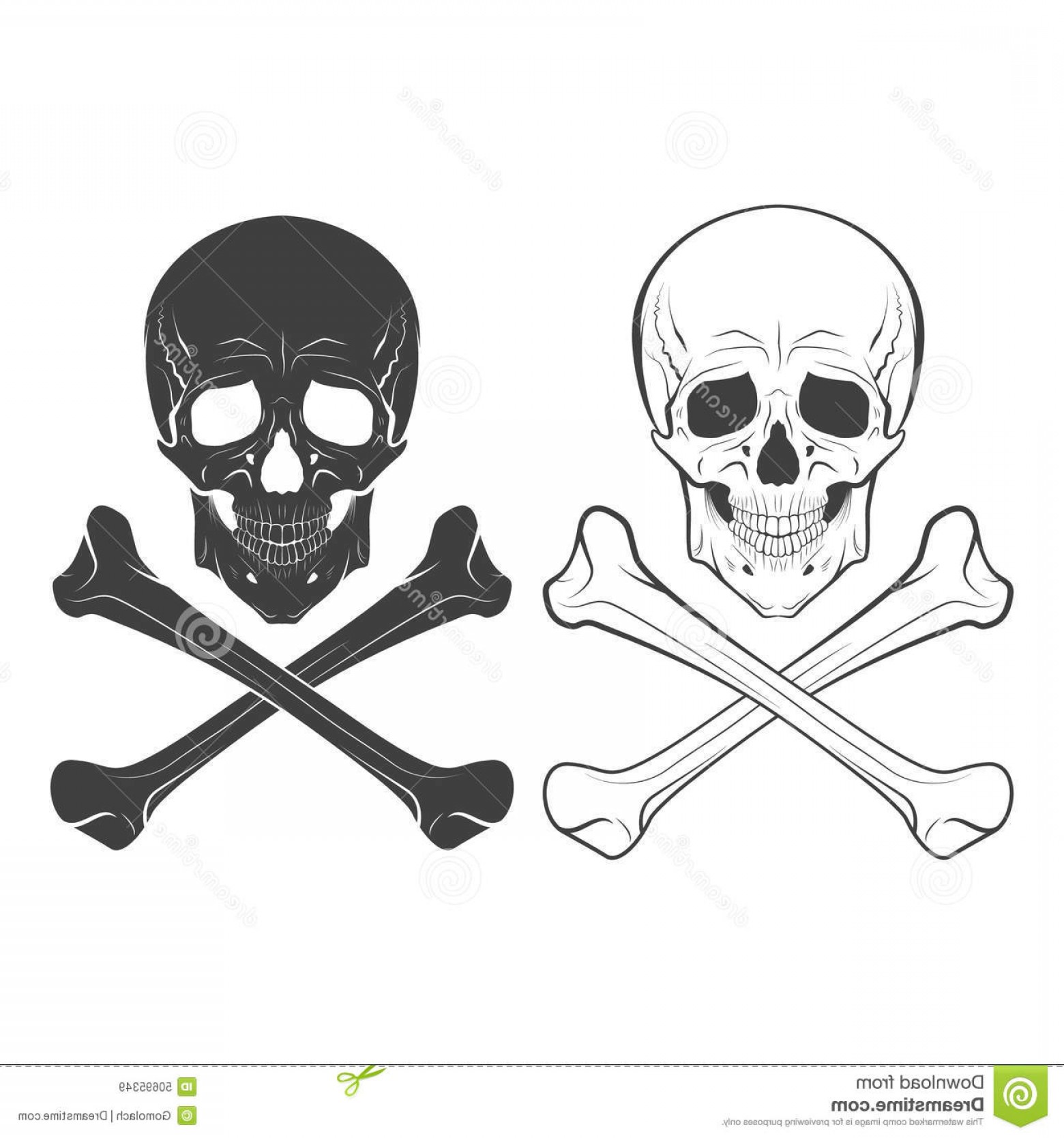 Skull And Bones Vector Art Hoodamathrun 1560x1668 Skull And Bones Vector Art Hoodamathrun