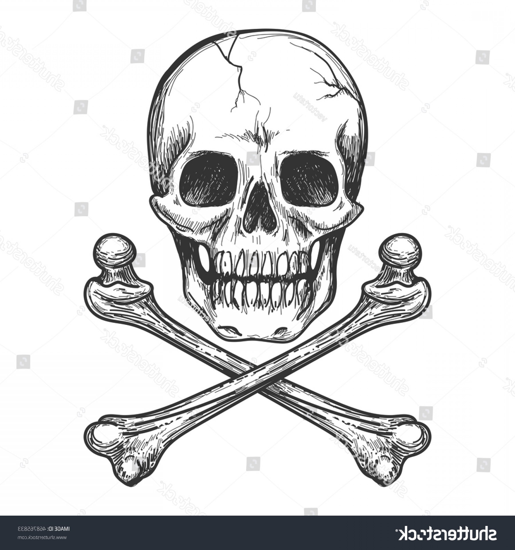 Skull Crossbones Tattoo Biker Jacket Vector Hoodamathrun 1800x1920 Skull Crossbones Tattoo Biker Jacket Vector Hoodamathrun