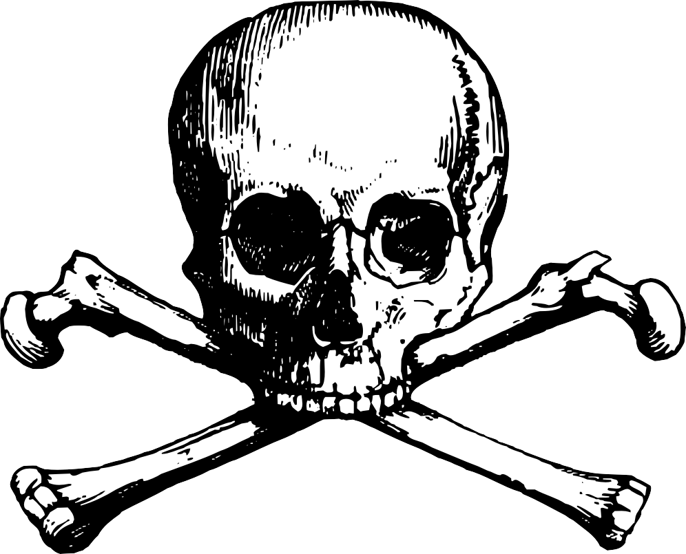 Skull And Bones Vector 996x805 Skull And Bones Vector