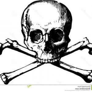 Stock Illustration Vector Skull Crossbones Black White Like Pirate 300x300 Stock Illustration Vector Skull Crossbones Black White Like Pirate