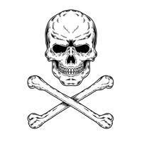 Skull And Crossbones Vector at Vectorified.com | Collection of Skull ...