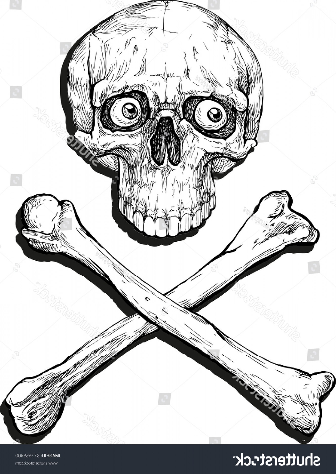 Surprised Skull Crossbones Hand Drawn Vector Soidergi 1359x1920 Surprised Skull Crossbones Hand Drawn Vector Soidergi