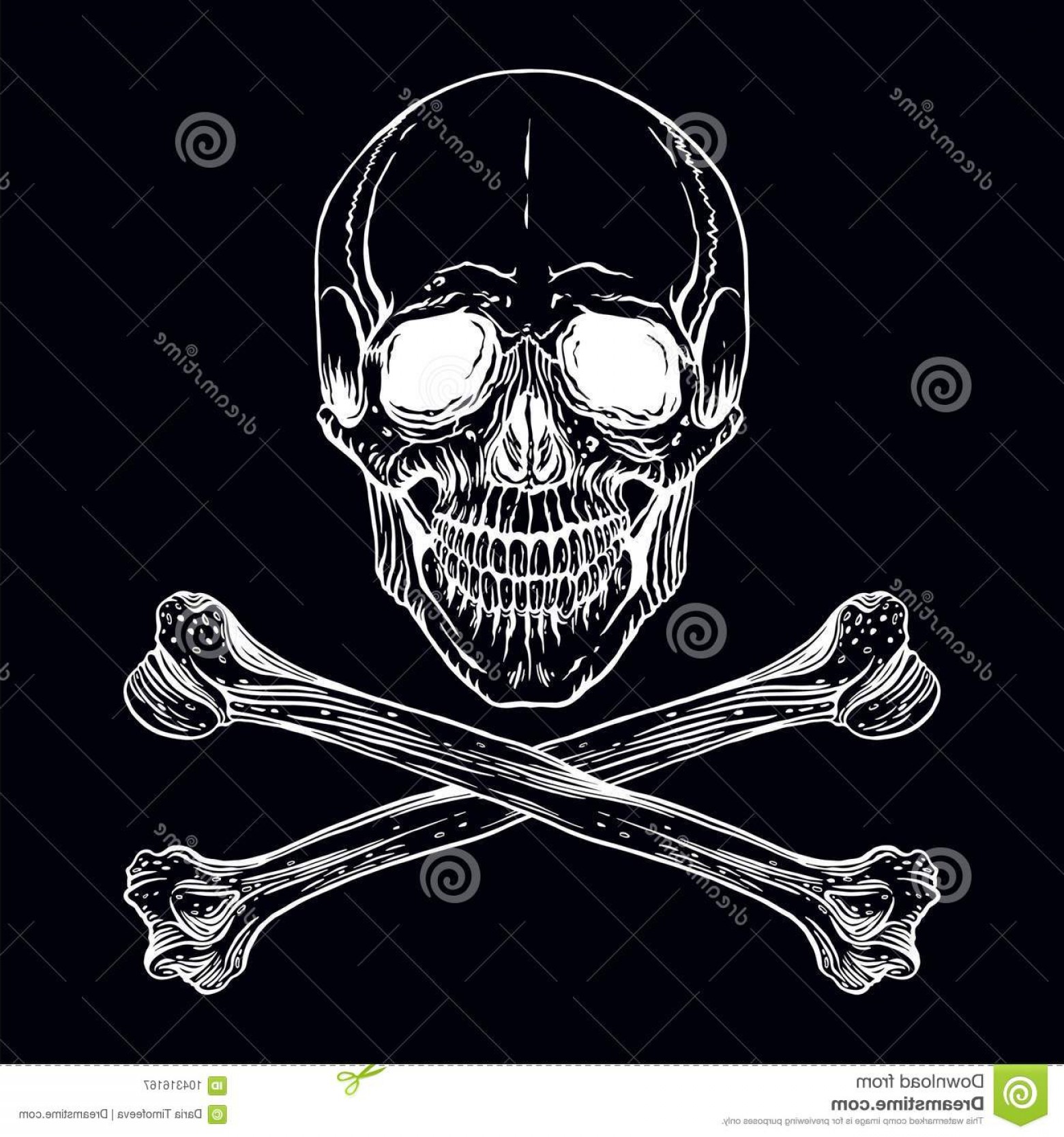 Vector Illustration Hand Drawn Human Skull Crossed Bones Human 1560x1668 Vector Illustration Hand Drawn Human Skull Crossed Bones Human