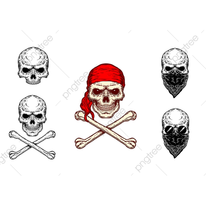 Vector Illustration Of A Skull And Crossbones, Skull, Crossbones 800x800 Vector Illustration Of A Skull And Crossbones, Skull, Crossbones