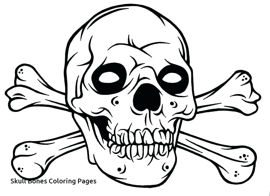 How To Draw Skull And Crossbones 1024x746 How To Draw Skull And Crossbones