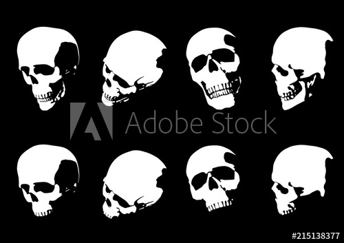 Set Of Hand Drawn Skull Silhouette Isolated On Black Background 500x353 Set Of Hand Drawn Skull Silhouette Isolated On Black Background