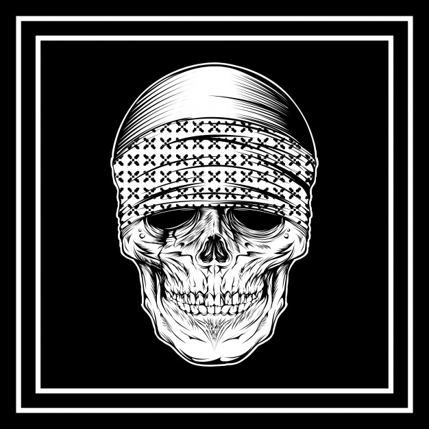 Skull Wearing Bandana Hand Drawing Vector Premium Download 626x626 Skull Wearing Bandana Hand Drawing Vector Premium Download