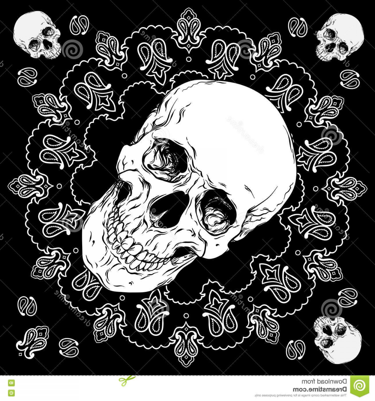 Stock Illustration Bandana Black White Design Skull Paisley 1560x1668 Stock Illustration Bandana Black White Design Skull Paisley