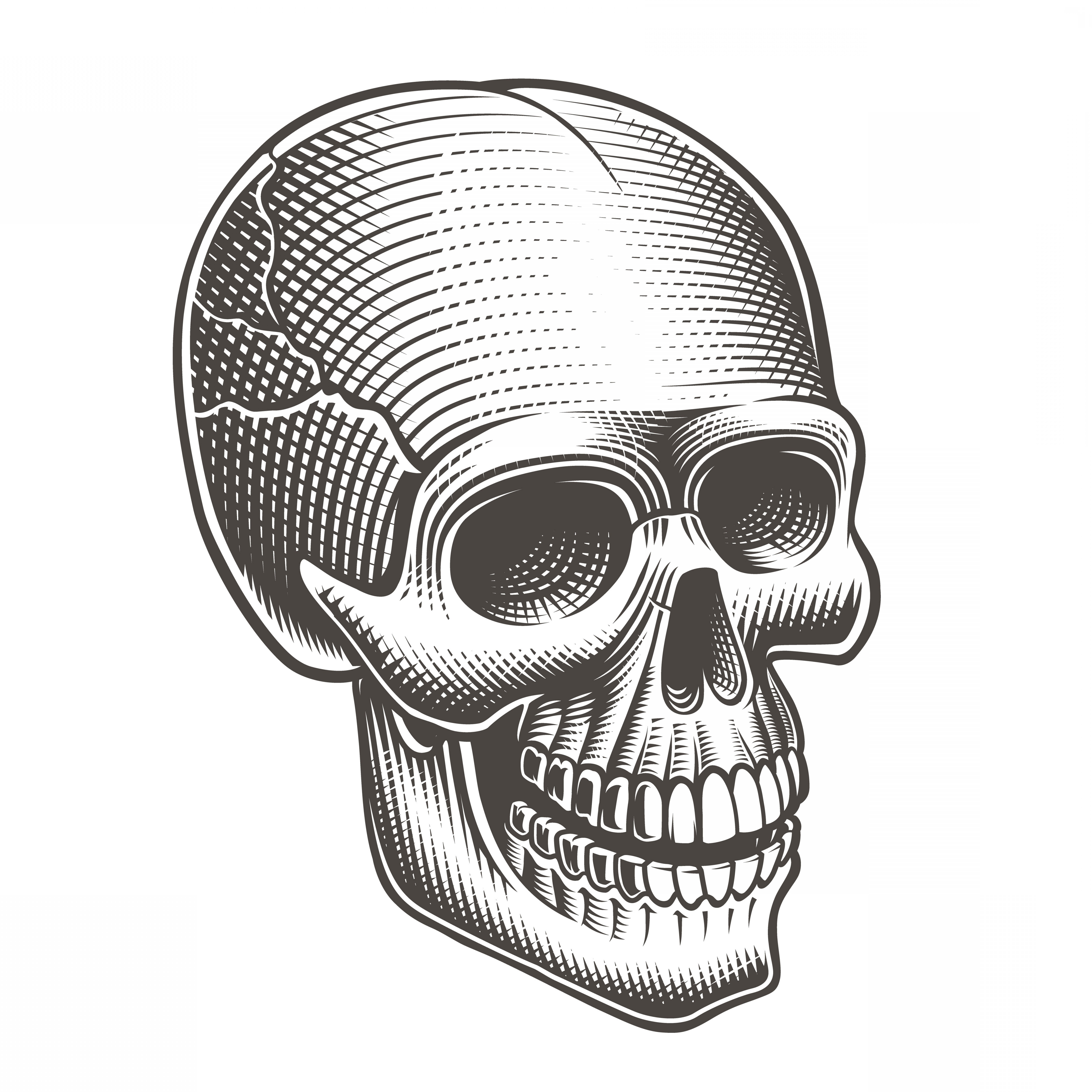 Vector Illustration Of A Black And White Skull Wallkeeper 6000x6000 Vector Illustration Of A Black And White Skull Wallkeeper