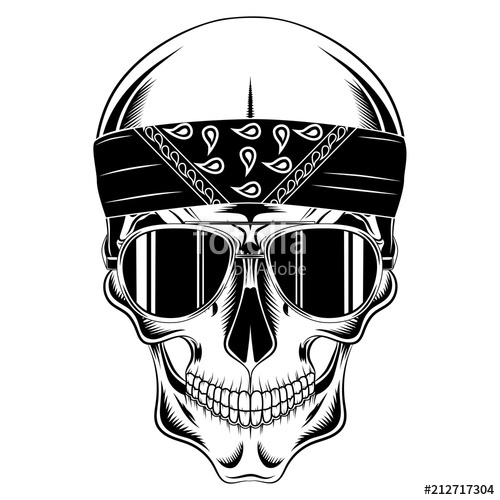 Vector Image Skull In Bandana And Glasses Stock Image And Royalty 500x500 Vector Image Skull In Bandana And Glasses Stock Image And Royalty