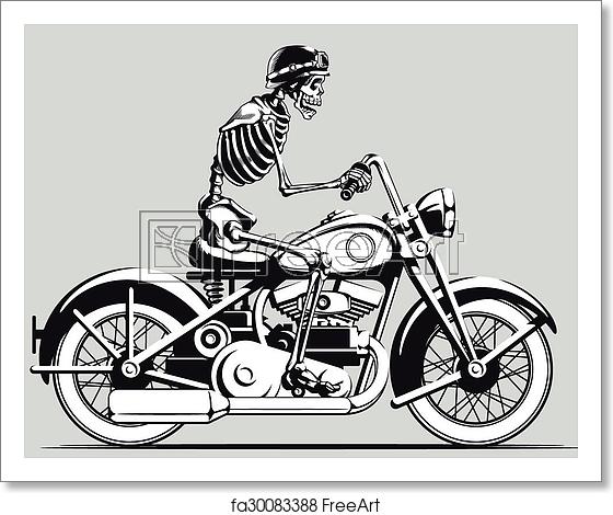 560x470 Free Art Print Of Vintage Skeleton Biker Vector Silho A Vector