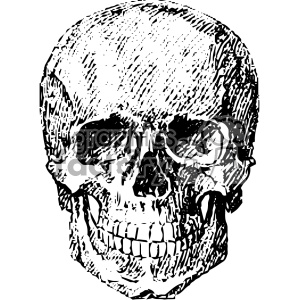 Vintage Vector Skull Art Clipart Royalty Free Gif, Png 300x300 Vintage Vector Skull Art Clipart Royalty Free Gif, Png