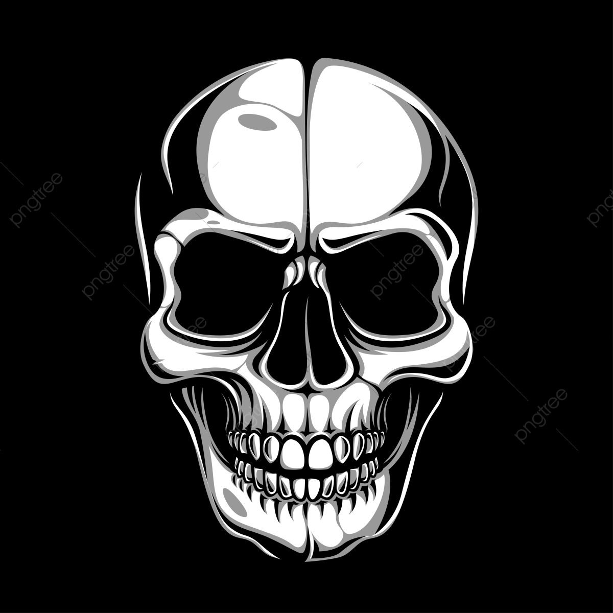 Skull Head, Skull, Vintage, Head Png And Vector With Transparent 1200x1200 Skull Head, Skull, Vintage, Head Png And Vector With Transparent