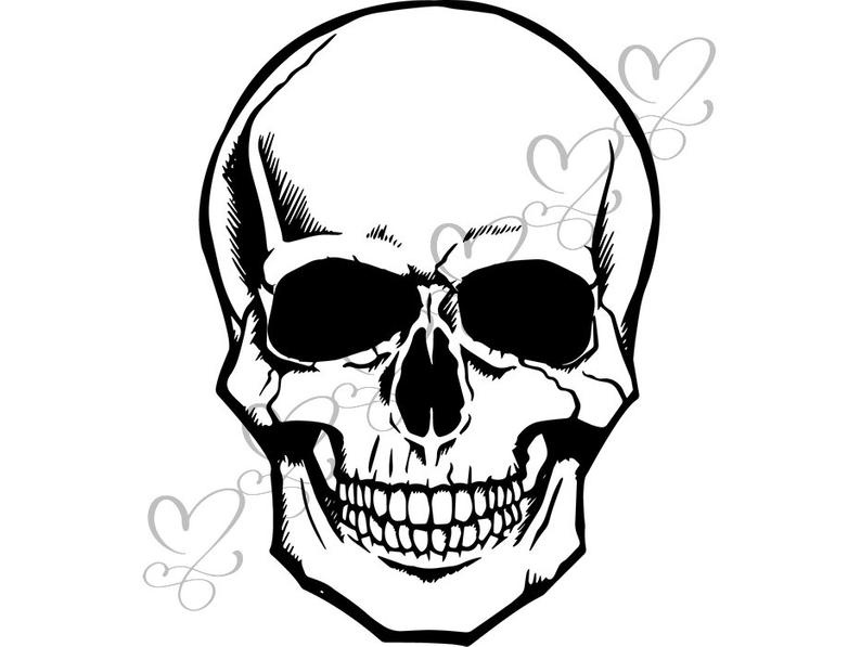 Skull Head Dead Skeleton Death Bone Art Human Head Anatomy Etsy 794x597 Skull Head Dead Skeleton Death Bone Art Human Head Anatomy Etsy