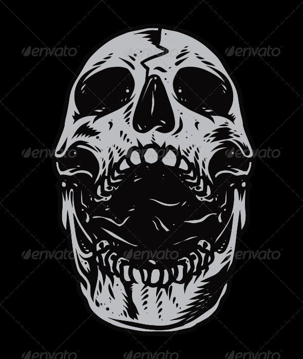 Skull Head Vector Vectors Skull, Skull Head, Skull Stencil 590x700 Skull Head Vector Vectors Skull, Skull Head, Skull Stencil
