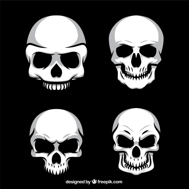 Skull Vectors, Photos And Free Download 626x626 Skull Vectors, Photos And Free Download