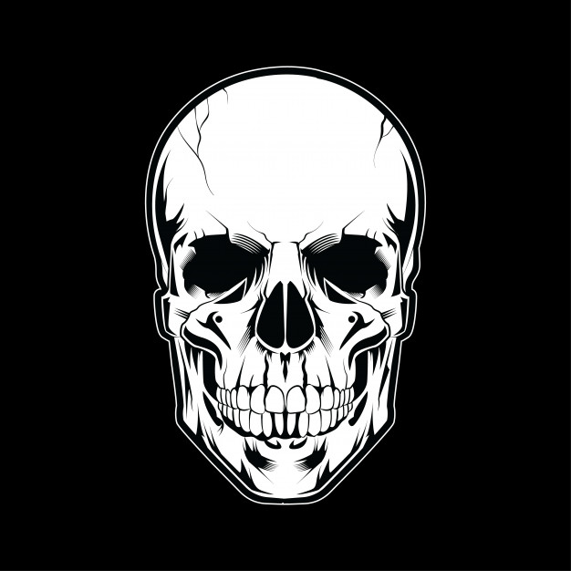 Skull Head Illustration White Style On Dark Background Vector 626x626 Skull Head Illustration White Style On Dark Background Vector