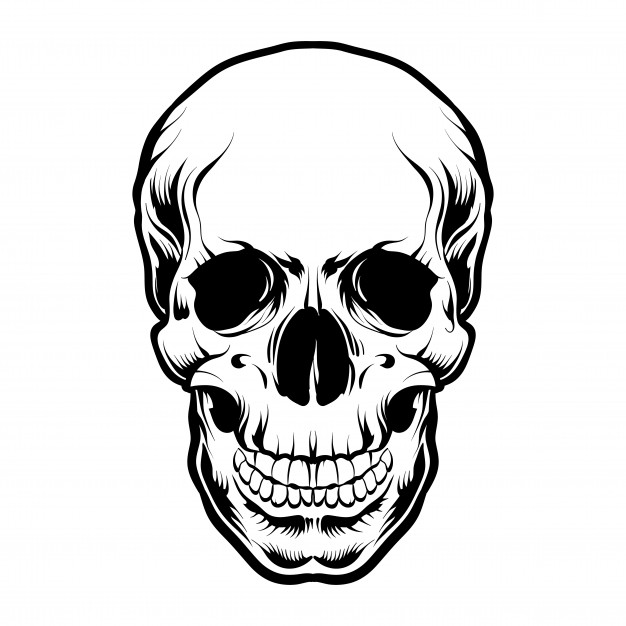Skull Head Vector Black And White Isolated Vector Premium Download 626x626 Skull Head Vector Black And White Isolated Vector Premium Download