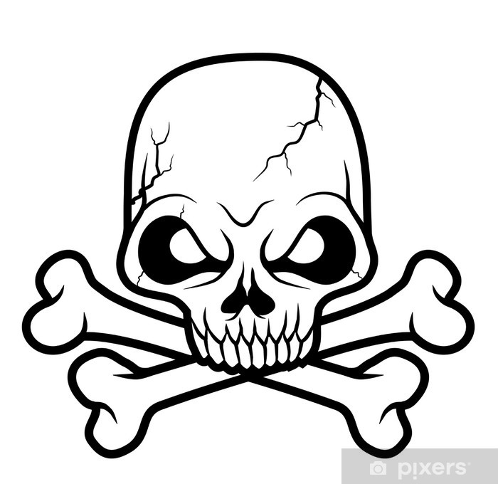 Black White Skull Head Vector Illustration Wall Mural Pixers 700x680 Black White Skull Head Vector Illustration Wall Mural Pixers