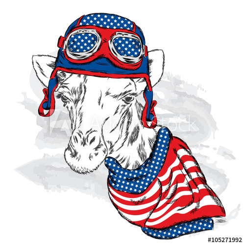 500x500 Skull Helmet Vector Giraffe Pilot