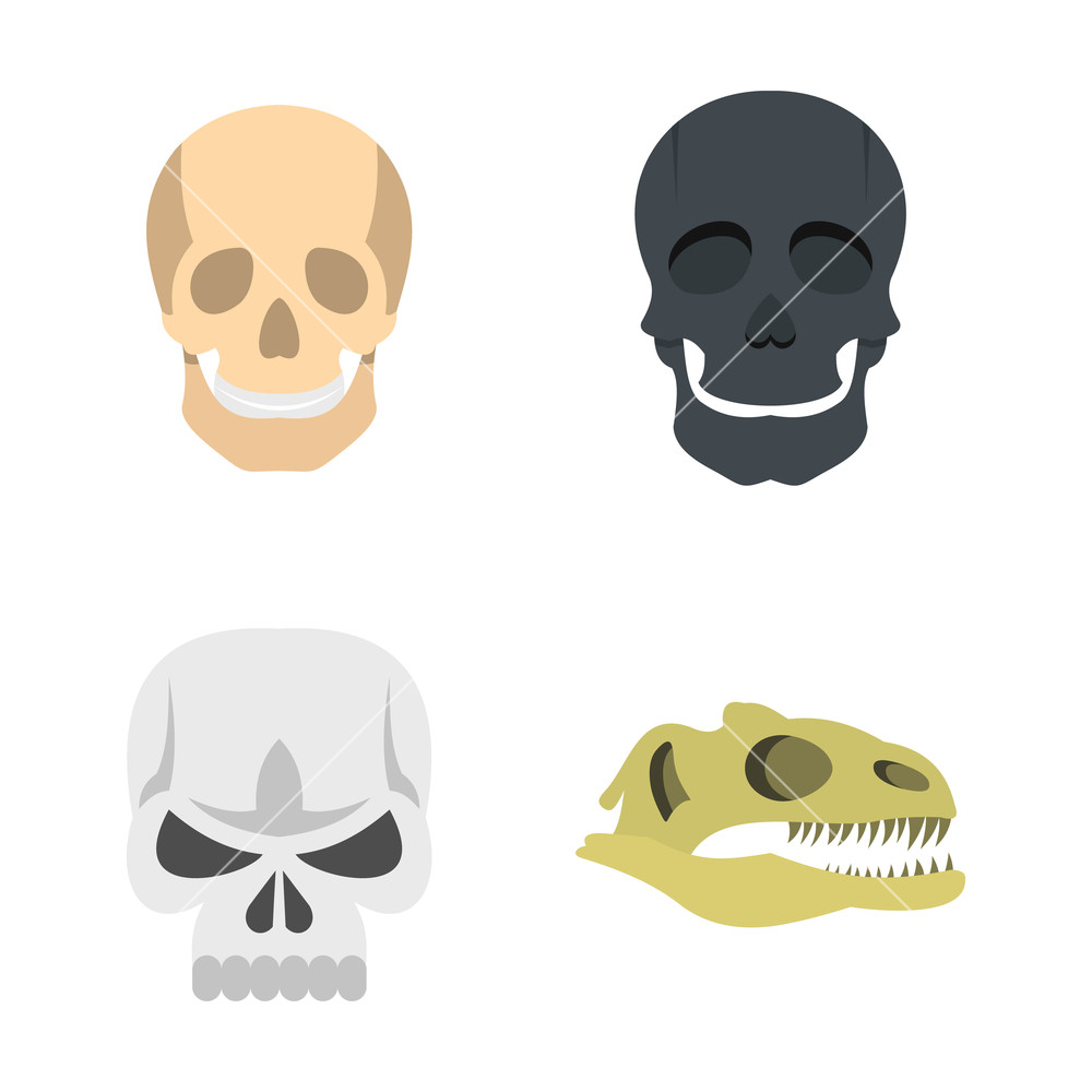 1000x1000 Skull Icon Set Flat Set Of Skull Vector Icons For Web Design