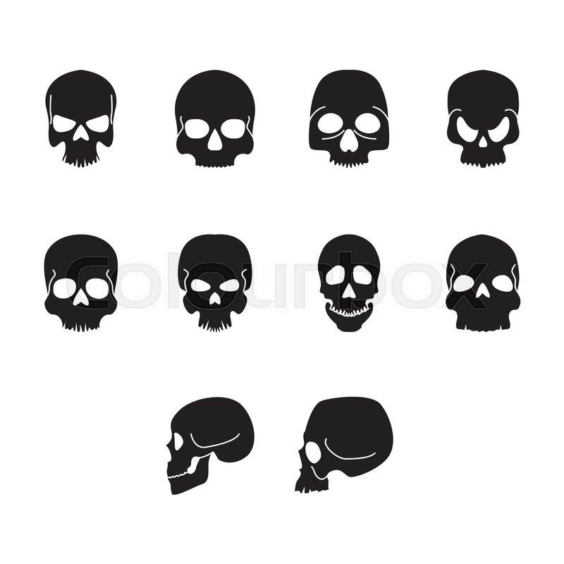 800x800 Collection Of Skull Icon Vector Stock Vector Colourbox