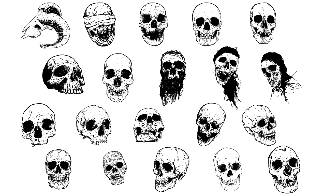 Hand Illustrated Skulls Vector Pack 1270x770 Hand Illustrated Skulls Vector Pack