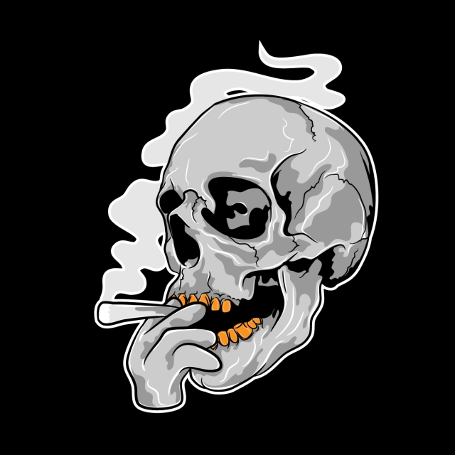 Skull Illustration Vector at Vectorified.com | Collection of Skull ...