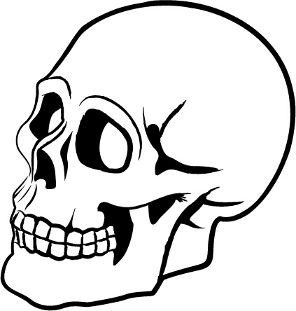 Skull Vector Free Vector In Adobe Illustrator 423x444 Skull Vector Free Vector In Adobe Illustrator