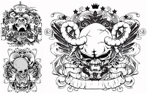 Skull Free Vector Download 569x360 Skull Free Vector Download