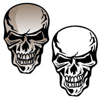Skull Vectors 200x200 Skull Vectors