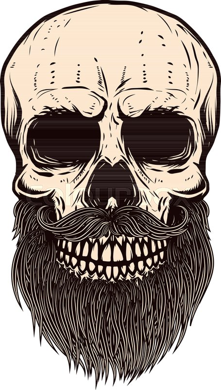 Skull Illustration Vector at Vectorified.com | Collection of Skull