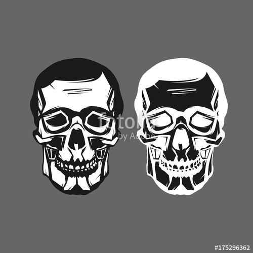 500x500 Abstract Skull Head Logo Vector Illustration For Wallpaper, Tattoo