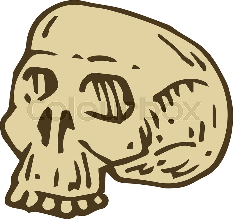 800x753 Side View Voodoo Skull Hand Drawn Stock Vector Colourbox