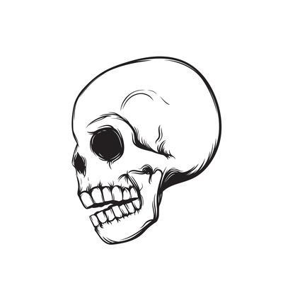 400x400 Skull, Side View, Isolated On White, Vector Illustration Art Print