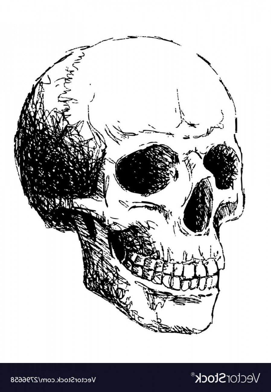 898x1296 Skull Side Silhouette Vector Geekchicpro