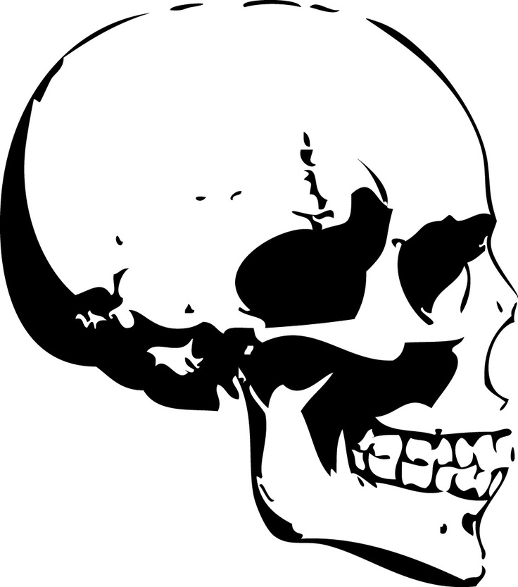 736x833 Skull Side View Silhouette