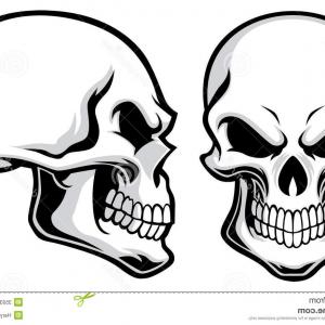 300x300 Skull Side View Vector Clipart Soidergi