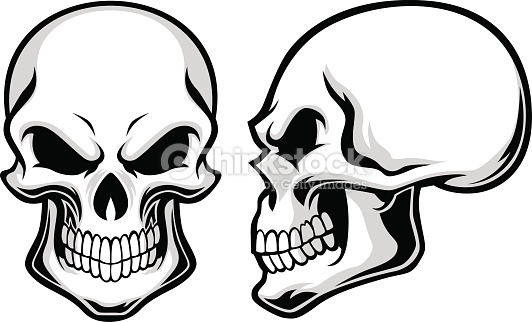 532x322 Skull Vector Art Group With Items