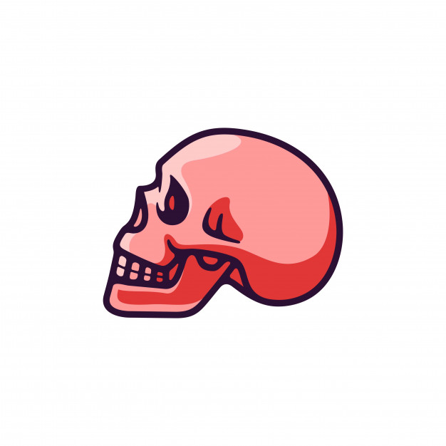 626x626 Skull Side View Vector Illustration Vector Premium Download