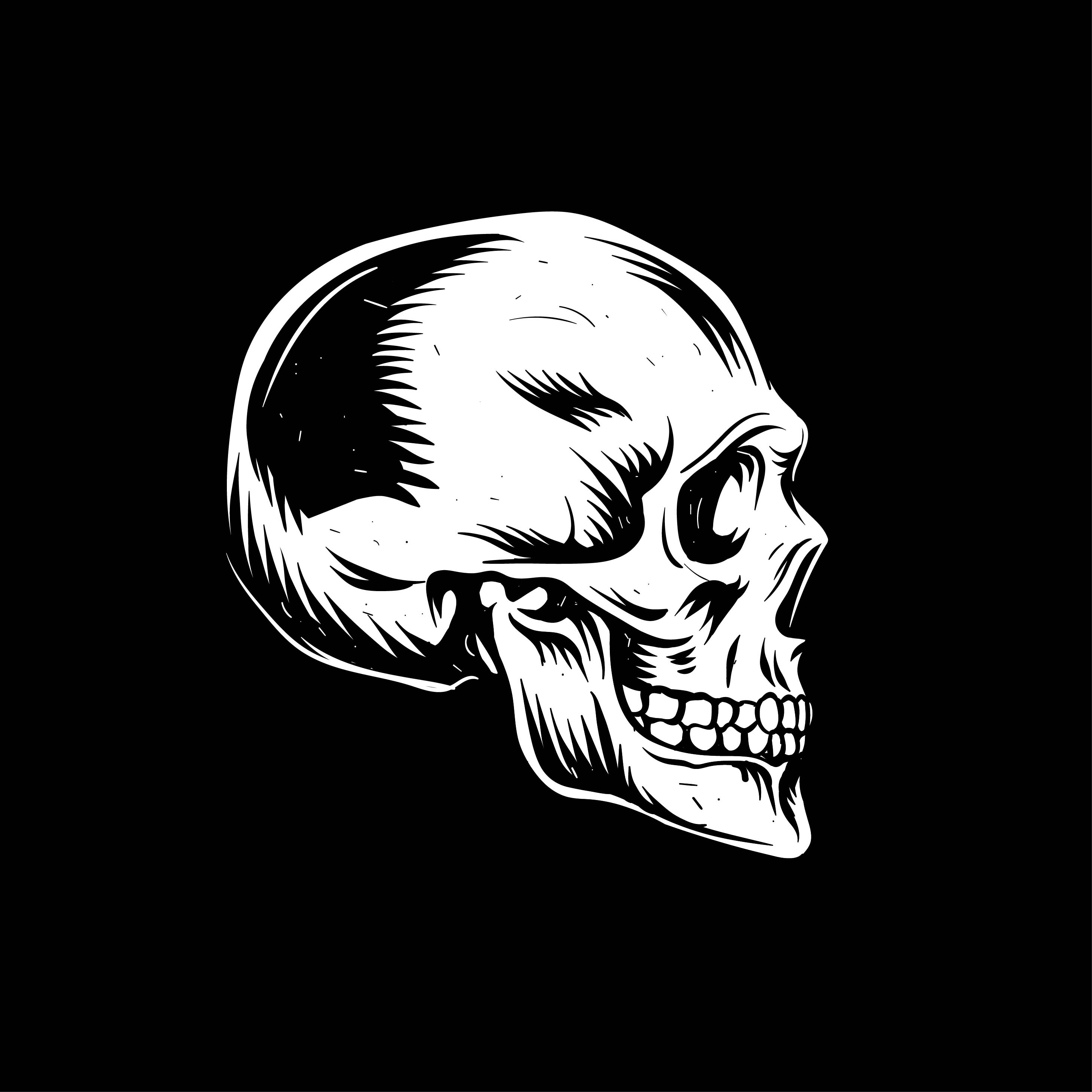 2917x2917 Bird Skull Side View