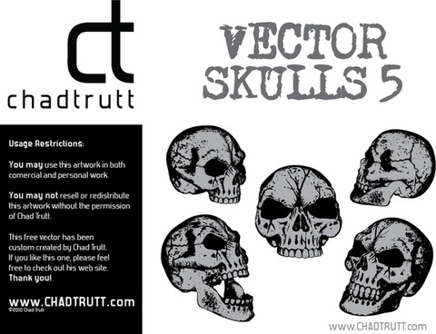 480x368 Human Skull Side View Free Vector Download