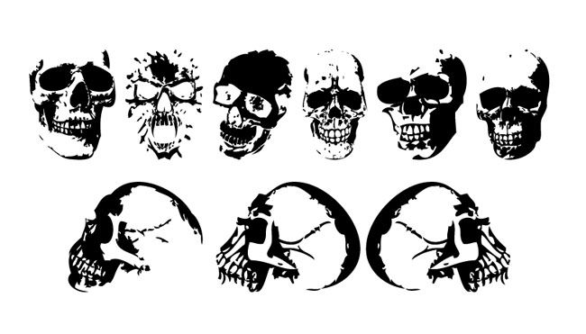 650x371 Realistic Skulls Silhouette