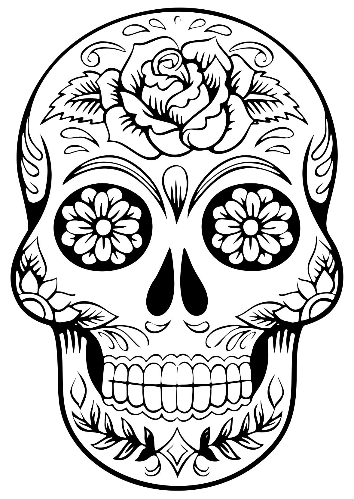 1178x1657 Clipart Skull Silhouette For Free Download And Use Images