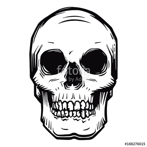 500x500 Monochrome Skull Tattoo Design Stock Image And Royalty Free
