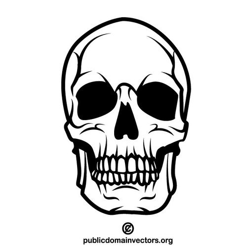 500x500 Human Skull Vector Clip Art