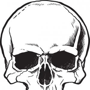 300x300 Skull Human Skull Vector Images Cqrecords